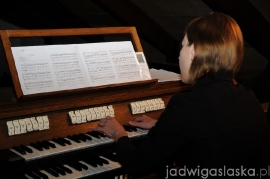 25_lat_organow_07