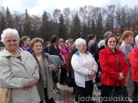 Lichen_2012_04