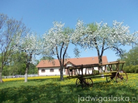 WasPniew_2012_04