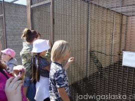 WasPniew_2012_07