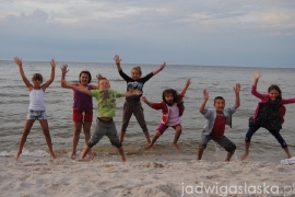 debki_2013_01