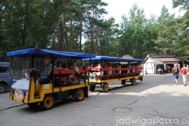 debki_2013_10