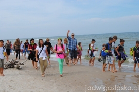 debki_2013_11