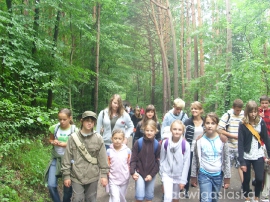 dworek01