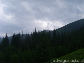 bialy_dunajec_2009_001
