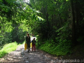 bialy_dunajec_2009_005