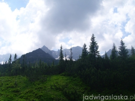 bialy_dunajec_2009_035