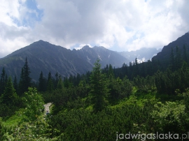 bialy_dunajec_2009_036