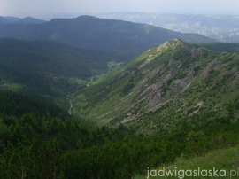 bialy_dunajec_2009_038