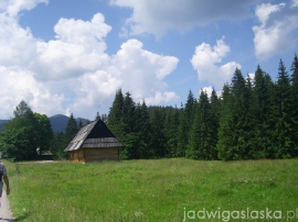 bialy_dunajec_2009_046