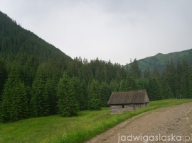 bialy_dunajec_2009_048