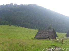 bialy_dunajec_2009_049