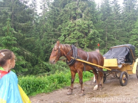 bialy_dunajec_2009_054