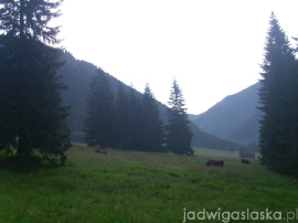 bialy_dunajec_2009_055