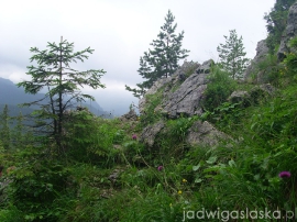 bialy_dunajec_2009_070