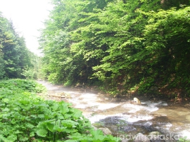 bialy_dunajec_2009_082