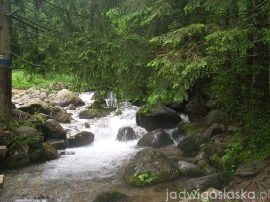 bialy_dunajec_2009_084