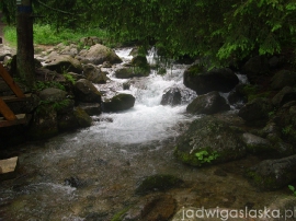 bialy_dunajec_2009_085