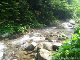 bialy_dunajec_2009_086