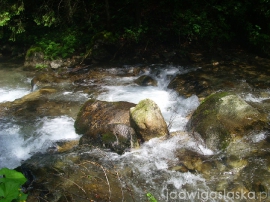 bialy_dunajec_2009_087