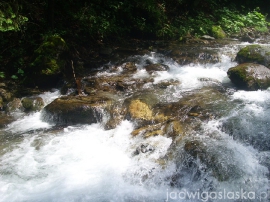 bialy_dunajec_2009_088
