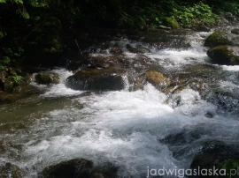 bialy_dunajec_2009_089