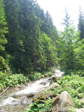 bialy_dunajec_2009_090