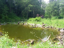 bialy_dunajec_2009_091