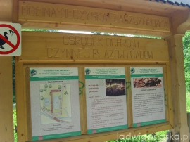 bialy_dunajec_2009_092