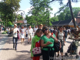bialy_dunajec_2009_095