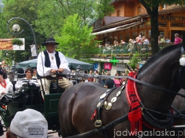 bialy_dunajec_2009_106