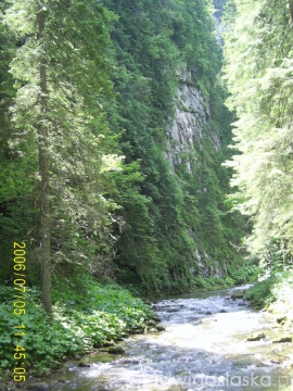 SAMSUNG DIGITAL CAMERA