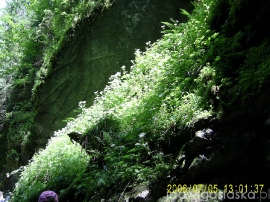 SAMSUNG DIGITAL CAMERA