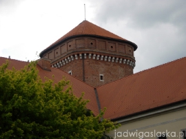 wisla_-_krakow_2007_055