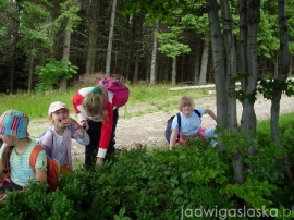 wisla_-_krakow_2007_117