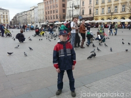 krakow_2014_78