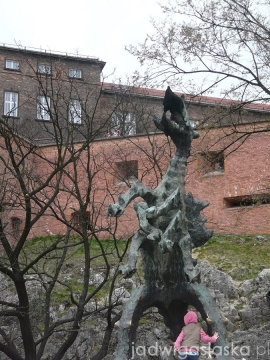 krakow_2014_81