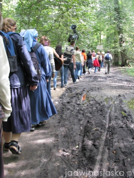 tulce_2010_46