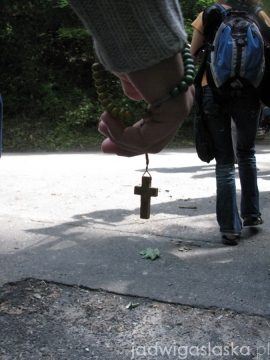 tulce_2010_50