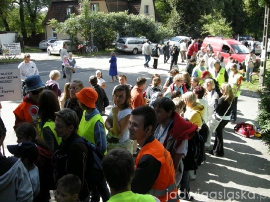Tulce 2010